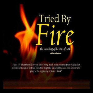 Tested By The Fire