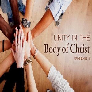 The Rhythm of Unity | We are One (1)