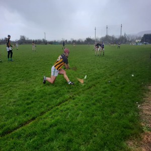 Munster Junior B hurling semi final - Scariff v Blackrock (of Limerick)