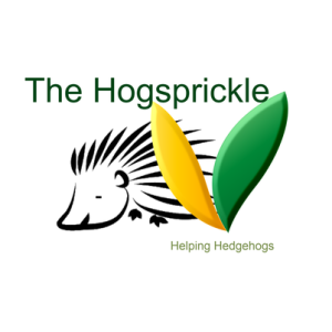 INTERVIEW HIGHLIGHTS - News from the Hedge with Bev Truss April 2023