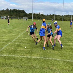 Newmarket v Scariff Ogonnelloe Senior camogie semi final