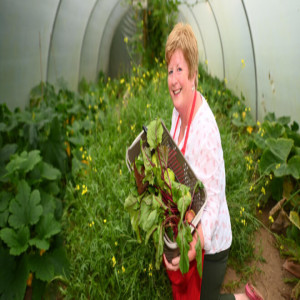 Saturday Chronicle 10th October 2020 - INTERVIEW HIGHLIGHTS - Cathy McAndrew Wallace,Bramble cottage produce, Clonlara