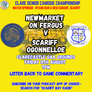 Newmarket on Fergus v Scariff Ogonnelloe Match Sponsor - Ryans bar and restaurant, Scariff
