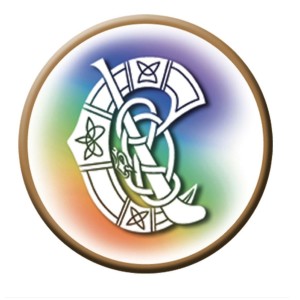 Tulla v Whitegate intermediate camogie -Match Sponsor- Synecco Design and Manufacturing Whitegate  https://www.synecco.com