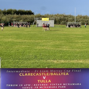 Clarecastle Ballyea v Tulla Intermediate camogie final - Match Sponsor The Holly tree restaurant Tulla  https://thehollytree.ie