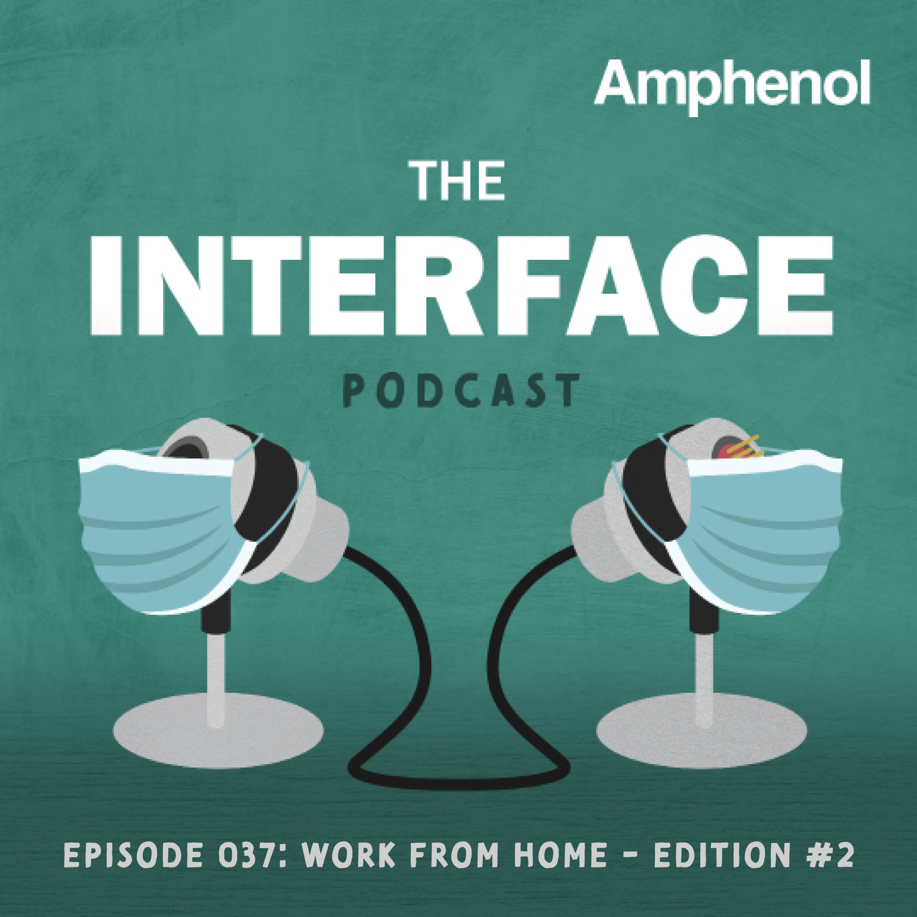 The Interface