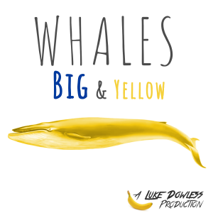 Whales are Big & Yellow