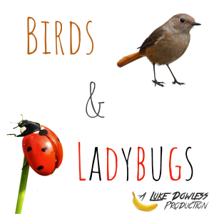 Birds & Ladybugs