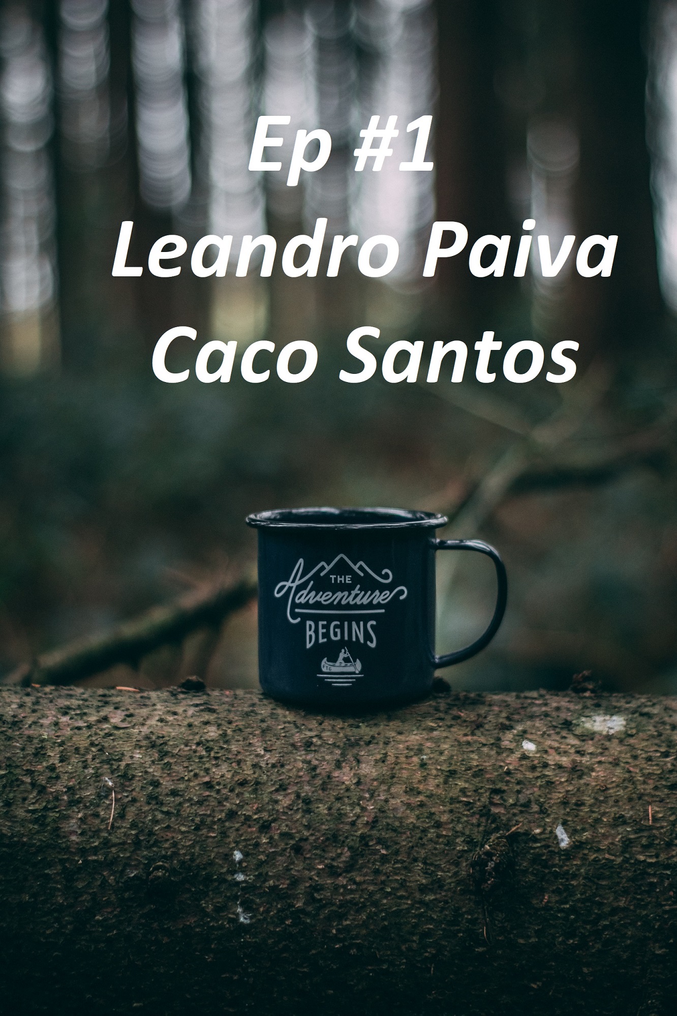 Planejamento Financeiro