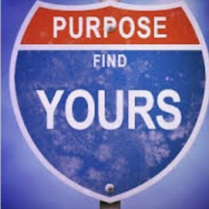 Finding Purpose