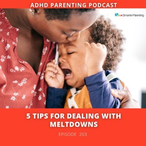 Ep #203: 5 Tips for dealing with meltdowns