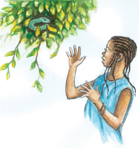 Elderberry Tales