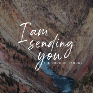 I Am Sending You | Matthew Jacoby