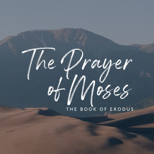 The Prayer of Moses | Matthew Jacoby