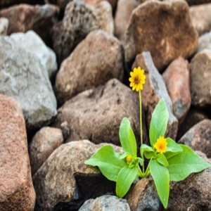 Apr 13, 2019 الحياة