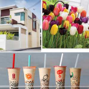 Bursting Bubbles; Tulips, Houses and Trendy Beverages