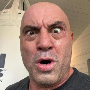 ...with Apologies Ep.187 - The Rogan incident