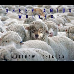 Matthew 10: 16-23 "The Warning"