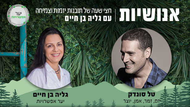 טל סונדק – יזם, זמר, אמן, יוצר