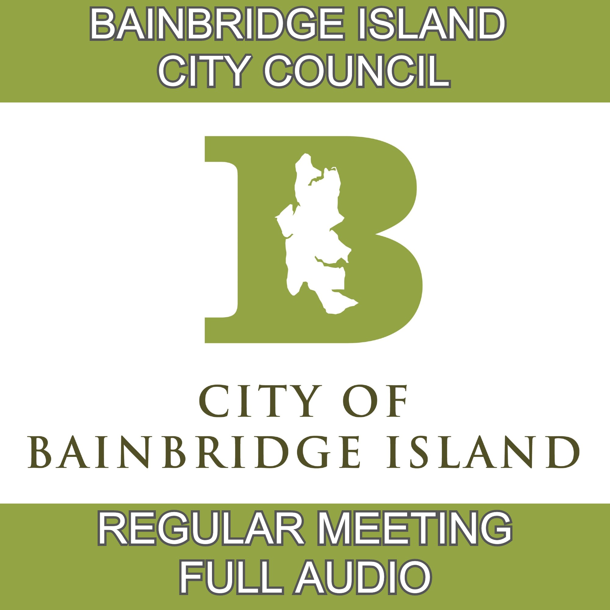 CITY COUNCIL REGULAR BUSINESS MEETING CITY OF BAINBRIDGE ISLAND | TUESDAY, NOVEMBER 10, 2020