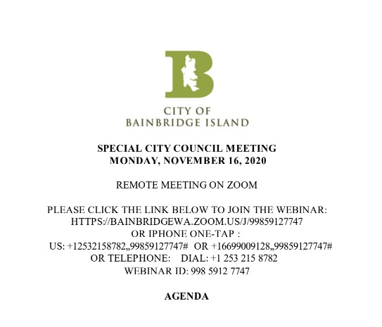 EXECUTIVE SESSION & CITY MANAGER SEARCH UPDATE | 11.16.2020