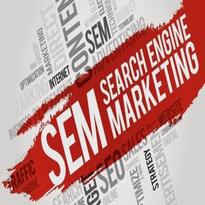 SEM Company in India