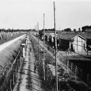Special episode 06 – Italy’s role in the holocaust