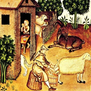 028 – The year 1000 and life for the average Giuseppe