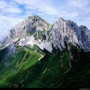 The Second Mountain (Psalm 116: 1-4, 12-19)