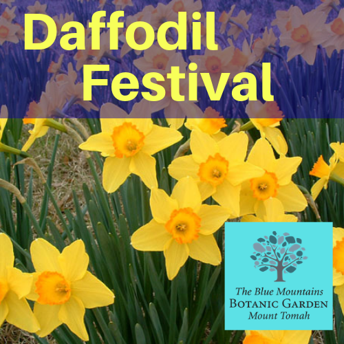 Daffodil Festival - Blue Mountains Botanic Garden