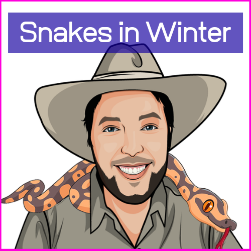The Reptile Bloke ~ Snakes in Winter
