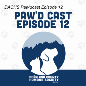 DACHS Paw'dcast Episode 12