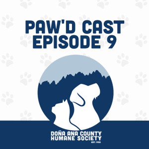DACHS Paw'd Cast Episode 9