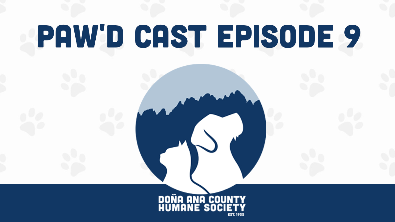 DACHS Paw’d Cast Episode 4