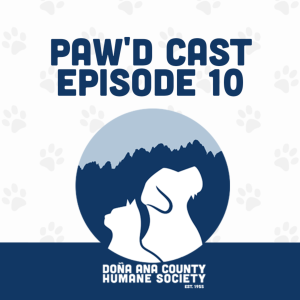 DACHS Paw'd Cast Episode 10