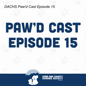 DACHS Paw’d Cast Episode 15