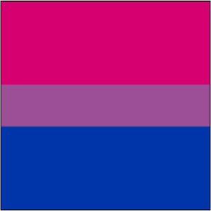 Bisexual Erasure
