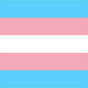Transgender Day of Visibility: A Dissent