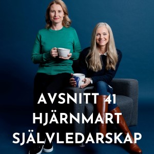 Hjärnsmart självledarskap