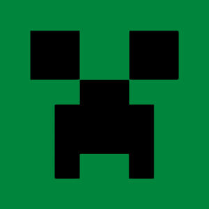 Inerview