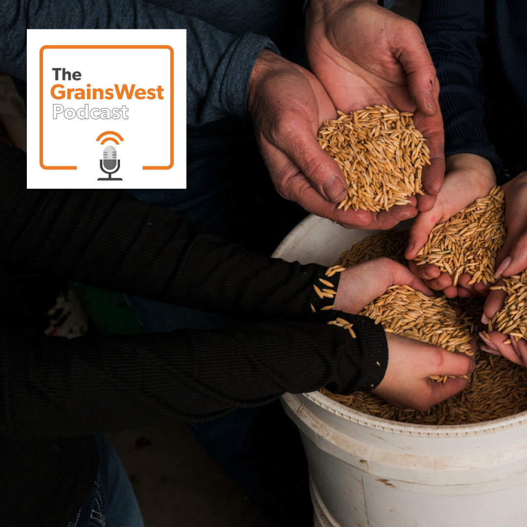The need for certified seed