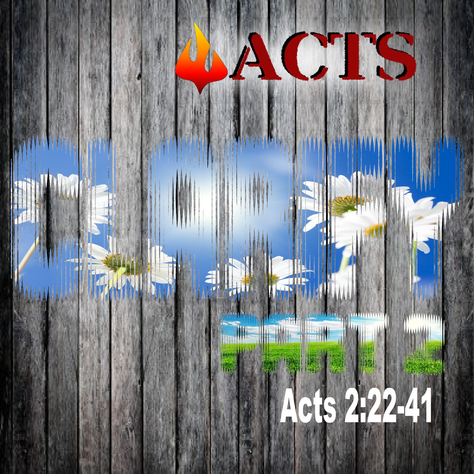 Clarify Part 2 Acts 2:22-41