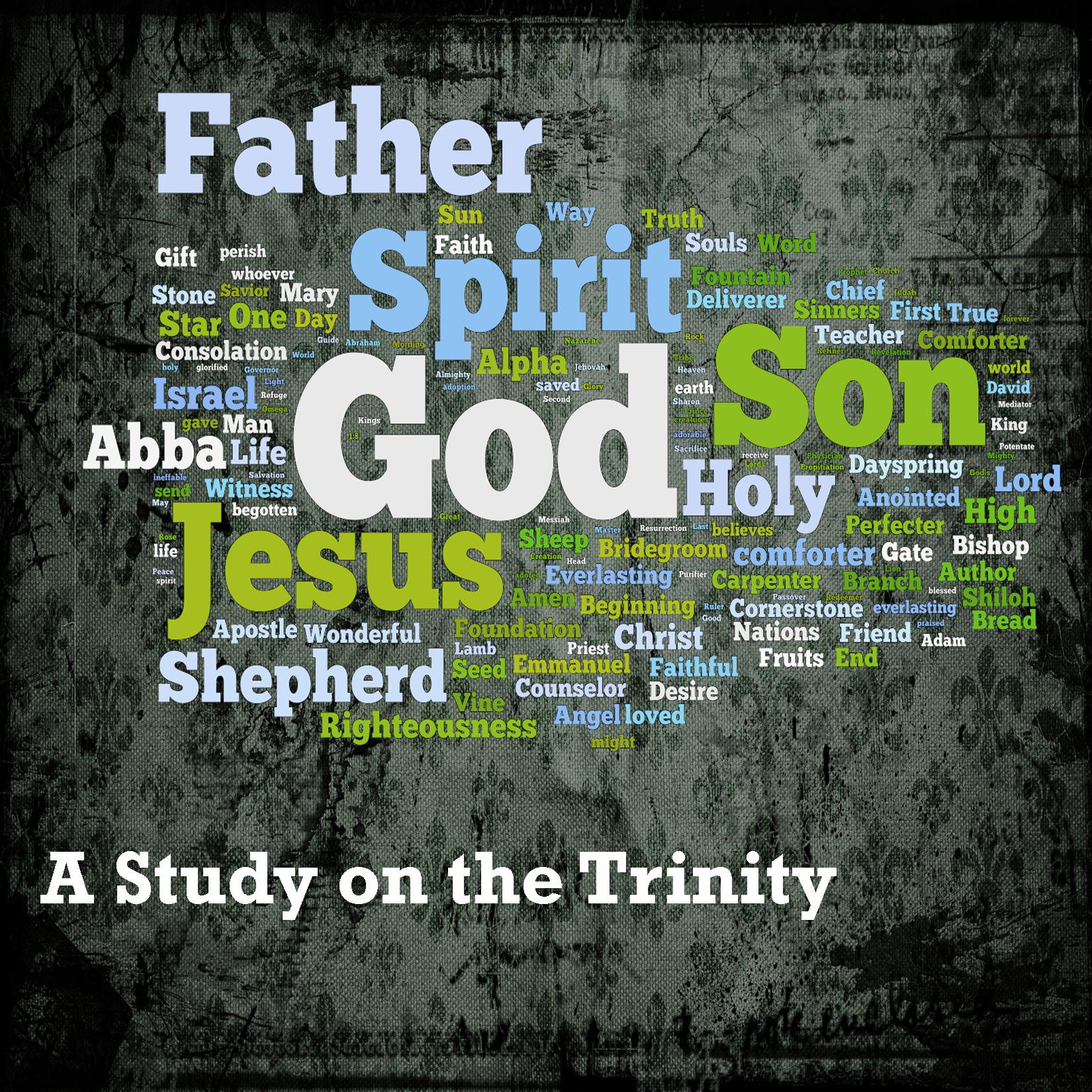 God: A Study on the Trinity (Various Passages)