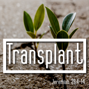 Jeremiah 29:4-14 ”Transplant” w/ Pastor Jeremiah Campos