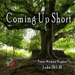 Luke 19:1-10 Coming Up Short