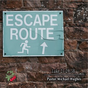 Luke 21:29-38 Escape Route