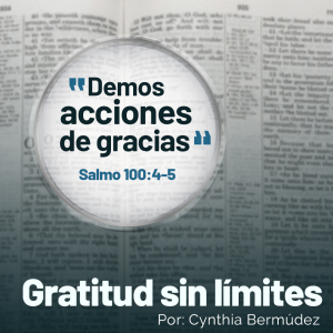 Gratitud sin limites