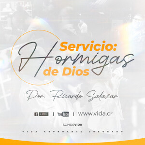 Servicio: Hormigas de Dios