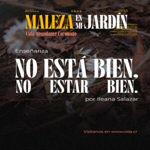 No está bien no estar bien / Ileana Salazar