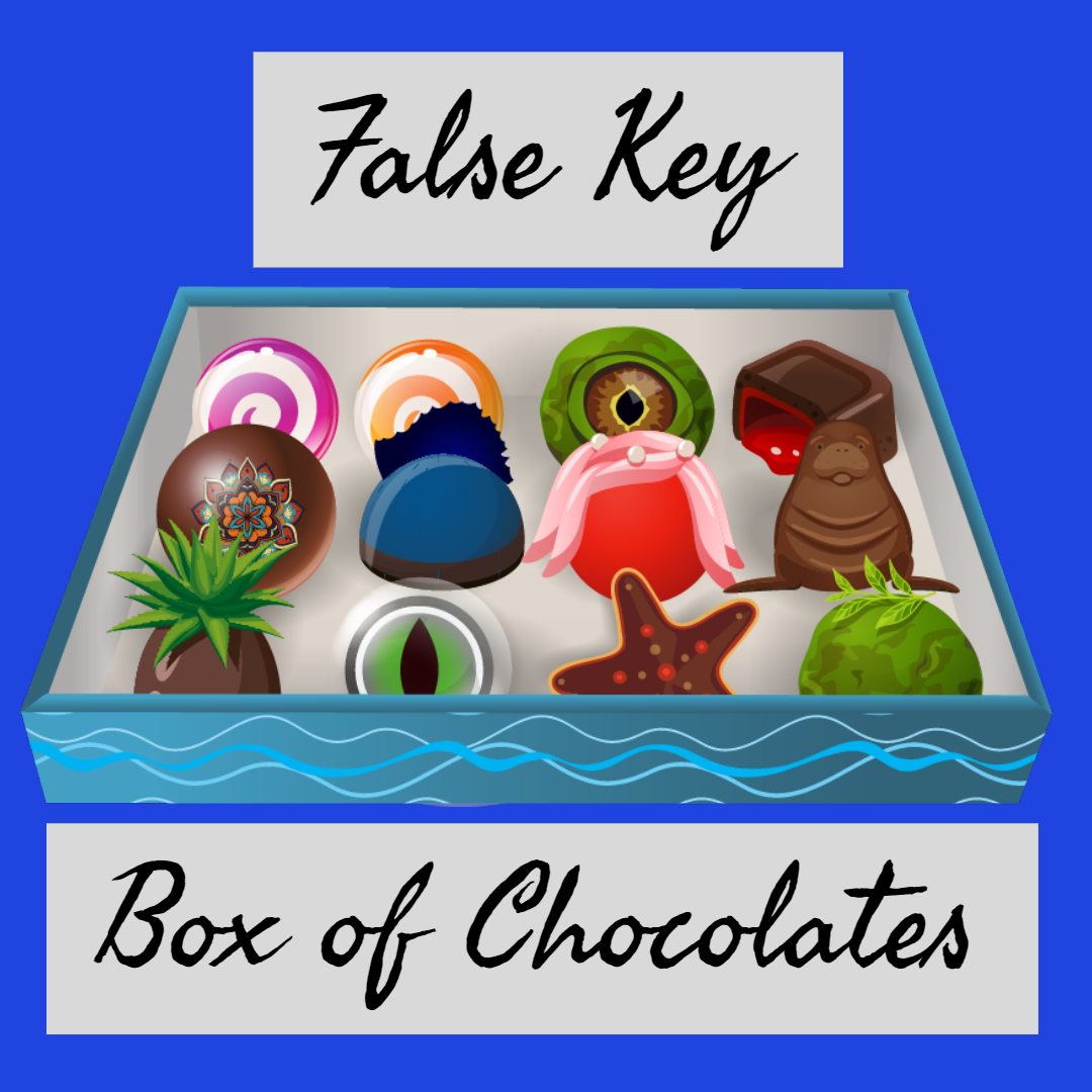False Key Box of Chocolates